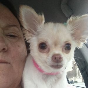 Meet your Posher, Rita